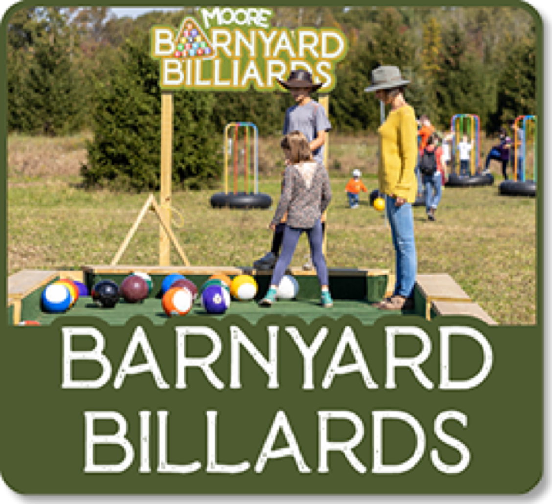 Moore Barnyard Billiards