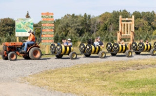 Moore Fall Attractions